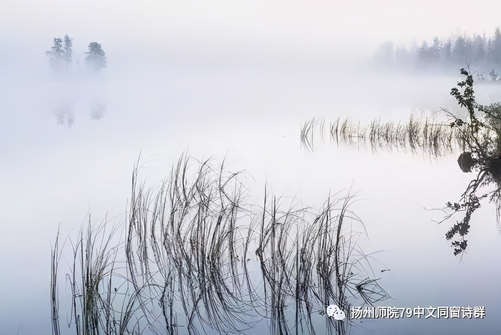 【老师去了，我每年来摩挲老师家的杨柳】