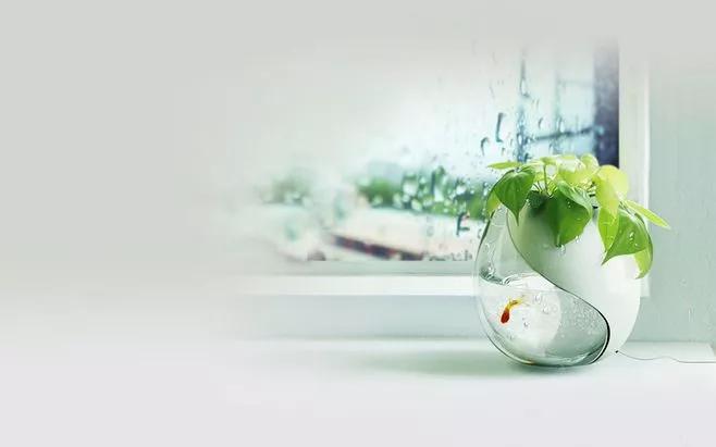 家庭风水布局最旺的方法,一个家庭的风水深度好文