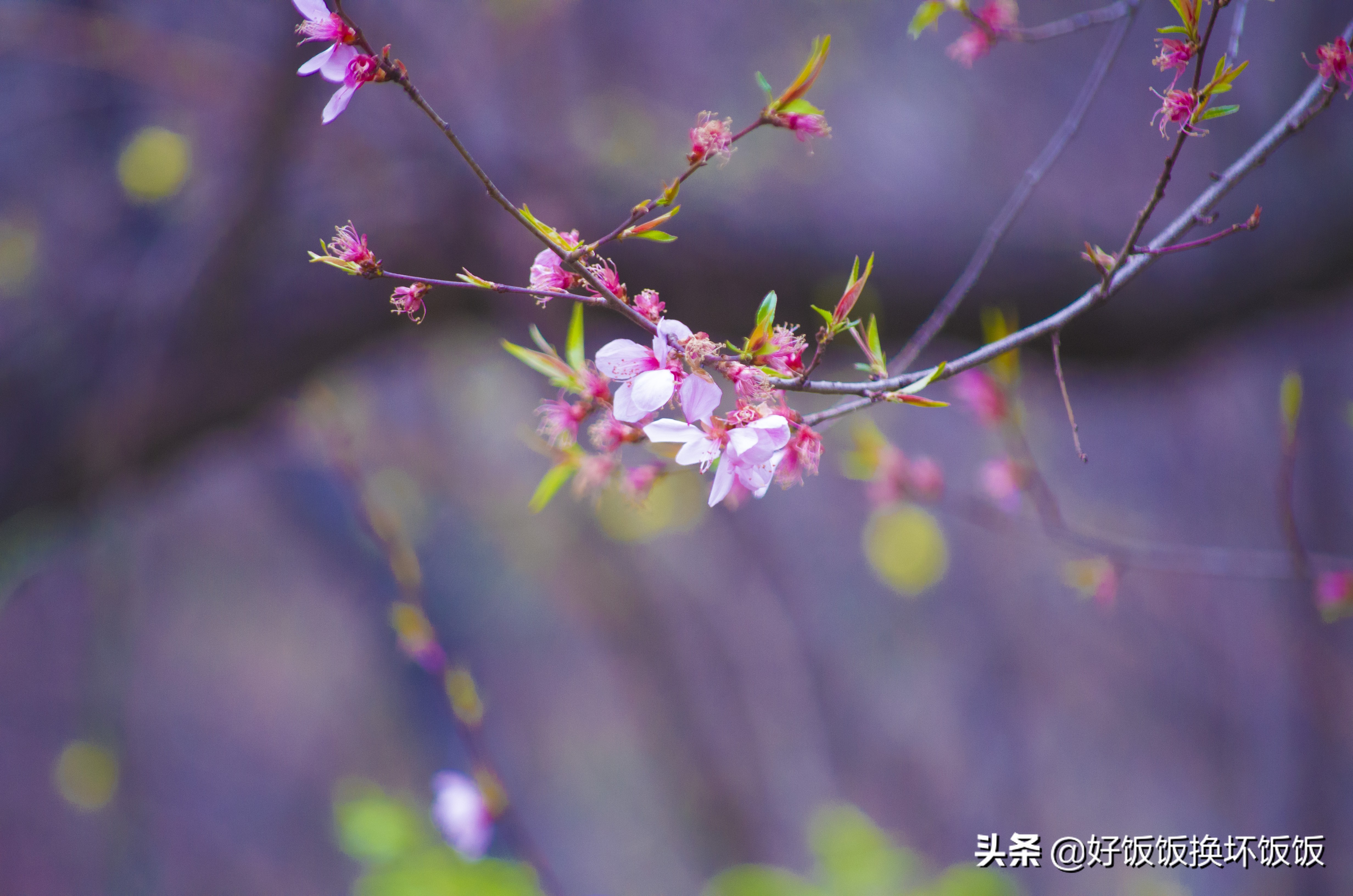华山站到华山北峰怎么走,华山西峰到华山北峰山路怎样