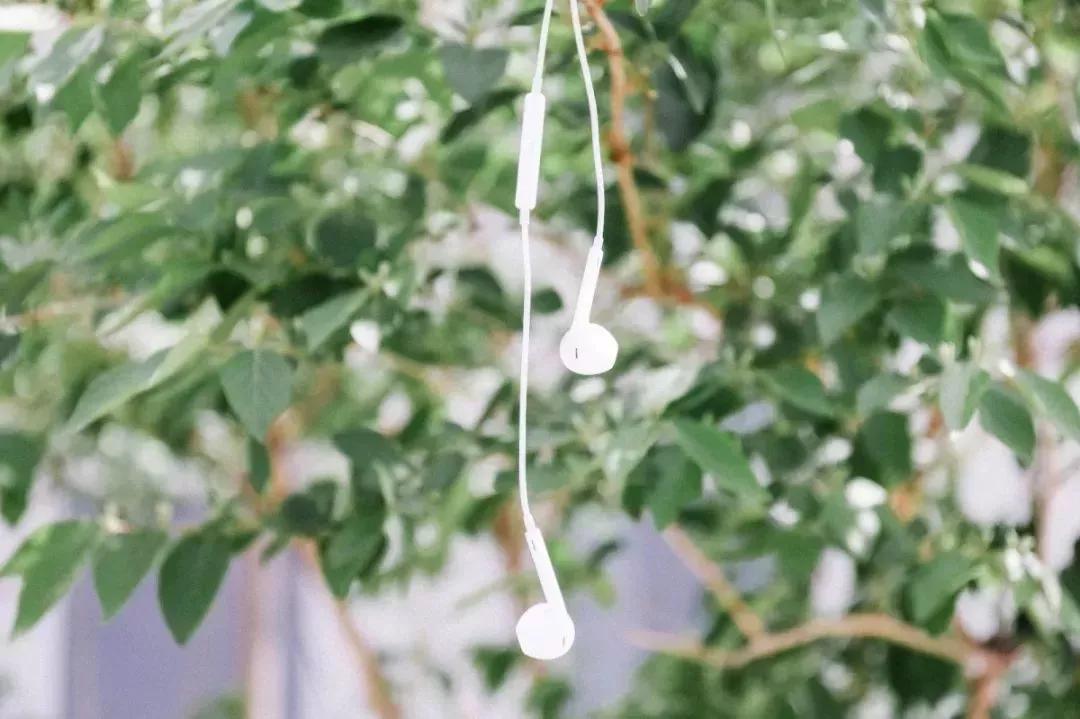 天津民办二本大学,天津仁爱学院滨海校区