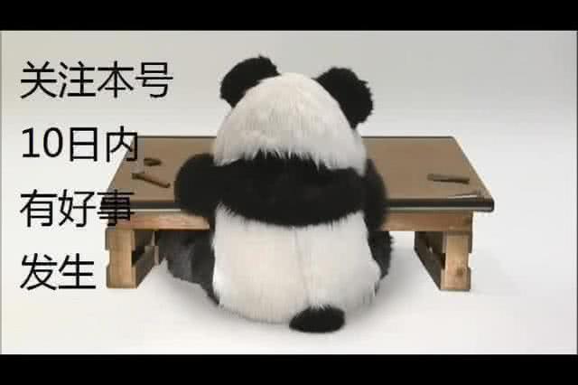 中国十大留洋成功球员名单,中国留洋球员统计2022