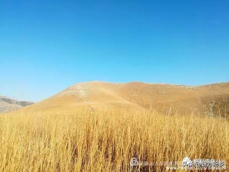 辉县张北草原冬天自驾游,辉县张北草原自驾游一天攻略