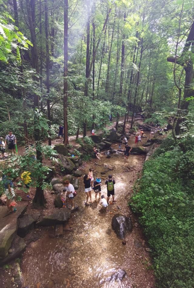 带妈妈去青城山避暑,陪父母游四川青城山