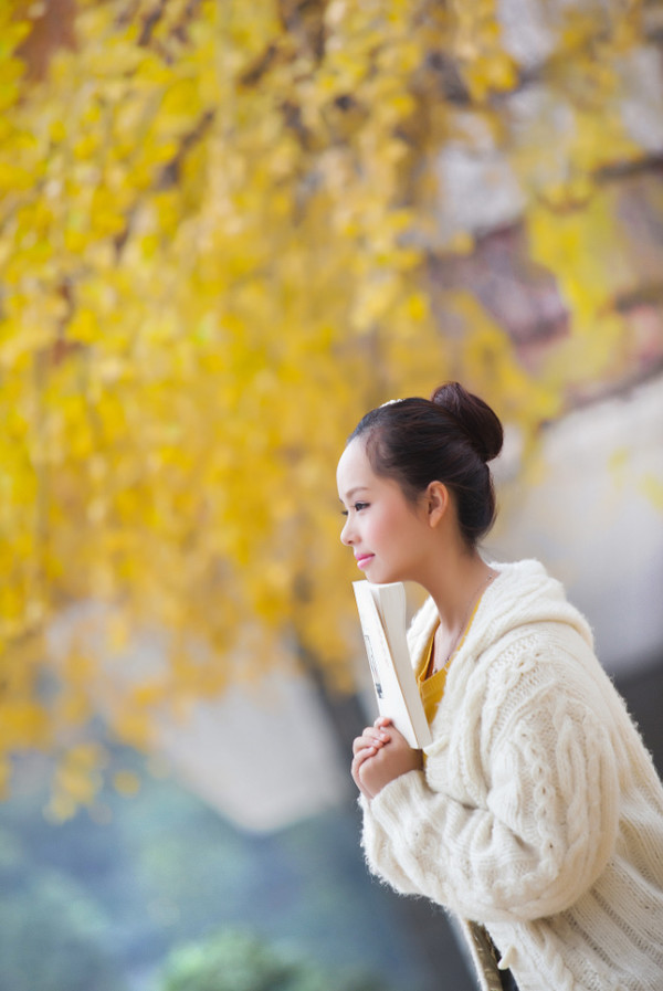 泰兴白果树的图片,泰兴老银杏树