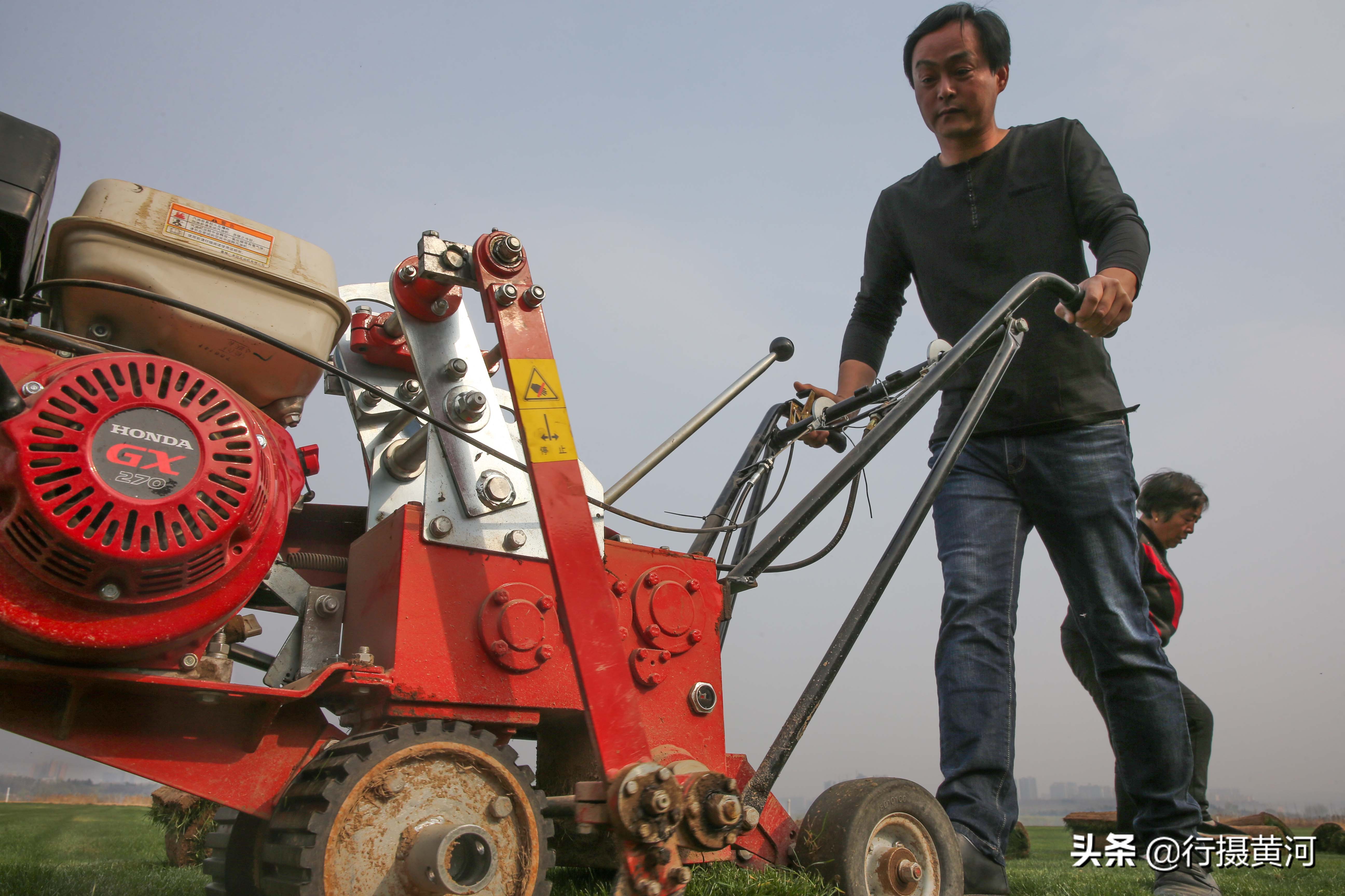 河南一小伙不务正业,小伙不务正业就想卖房卖地