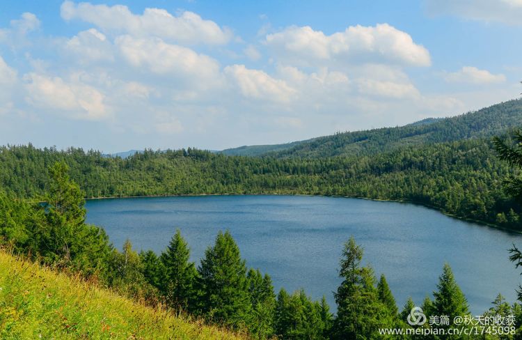 王英滨州,滨州王英画作