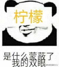 日本相亲综艺找富豪富豪会买什么,日本土豪相亲节目