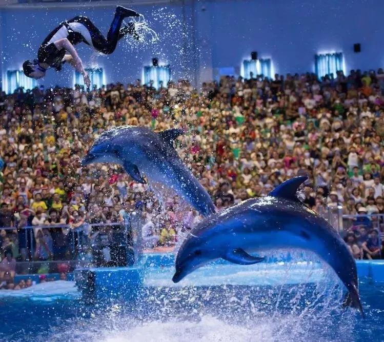 罗源乡下一日游,罗源一日游攻略自由行