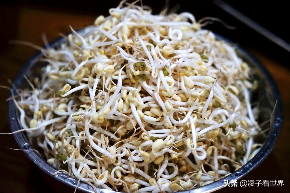 矿泉水瓶发豆芽的做法,黄豆芽怎么泡发做豆芽