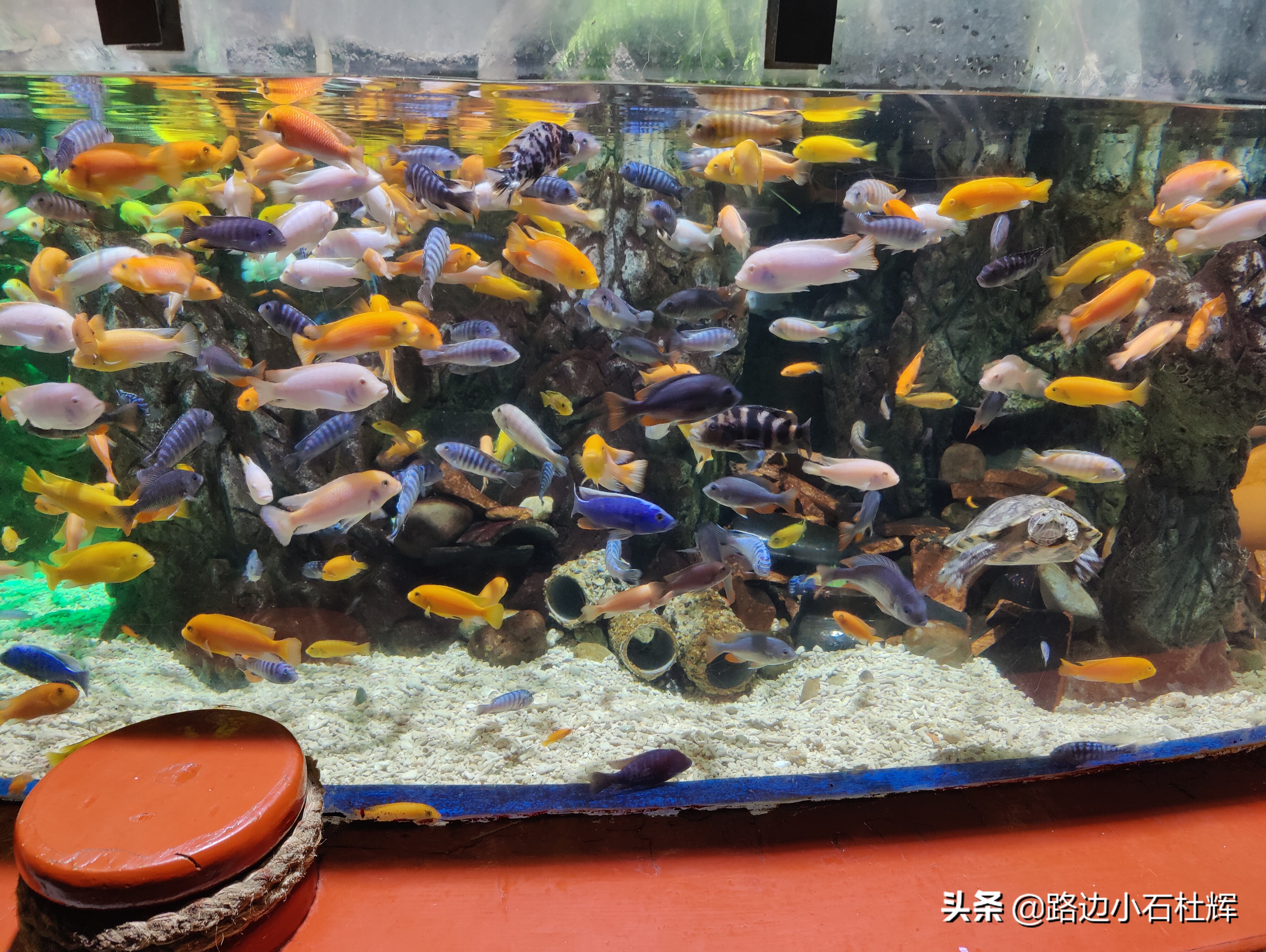 北京海洋馆海底世界游玩攻略,海洋馆北京海底世界游玩路线