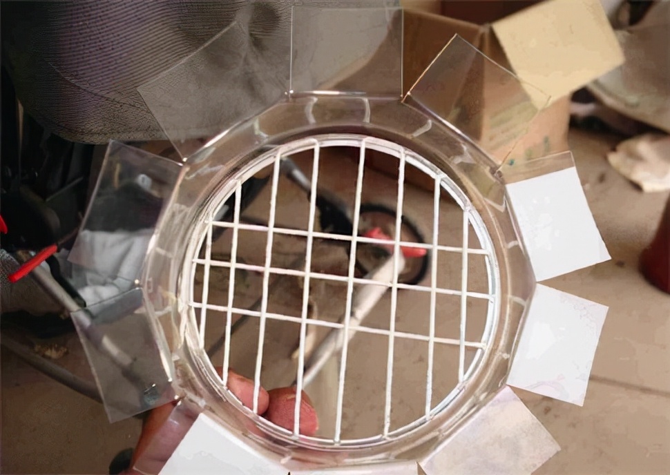 吊兰水培养鱼怎么养好活,水培吊兰可以养小鱼