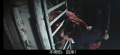 冷门cult片,盘点十大cult片