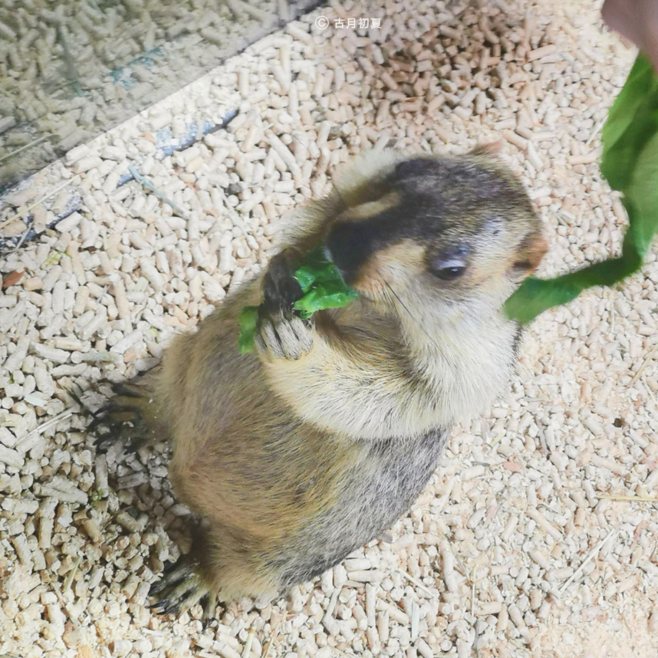 厦门科技馆游玩攻略2-3岁儿童,厦门科技馆每一个馆只能玩一次吗