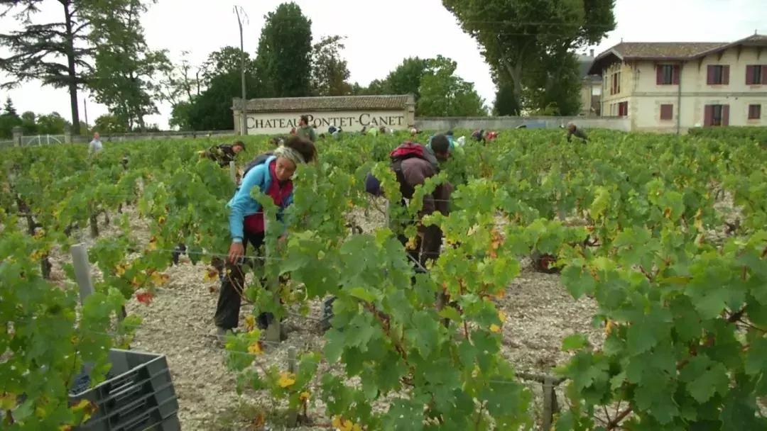 法国风情美景,品味纯正法国风情