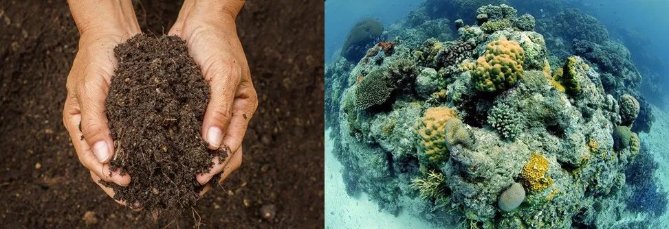 如何解决抗生素滥用的后果,抗生素滥用问题的建议