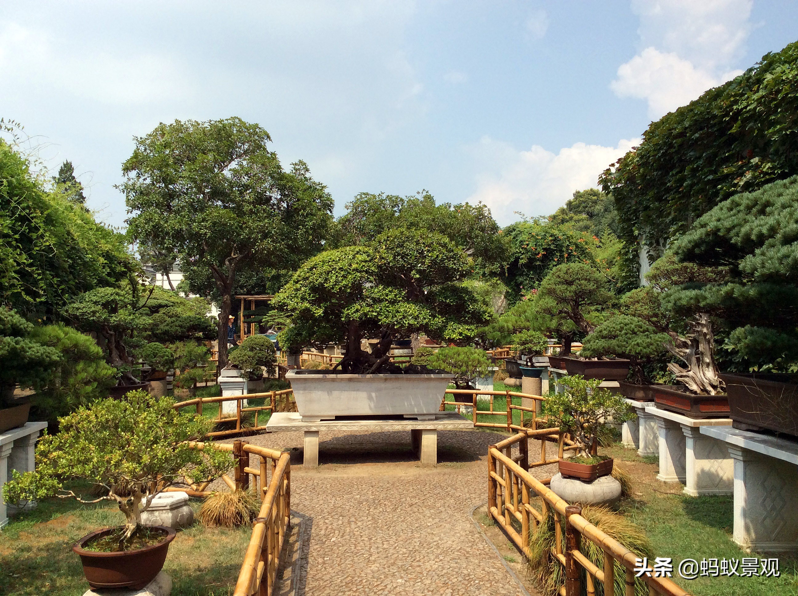 留园建筑布局照片,留园建筑景观内容