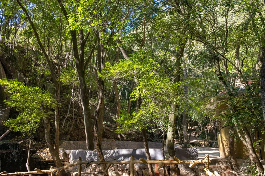 端午去哪玩昆明,暑假自驾游攻略昆明天气