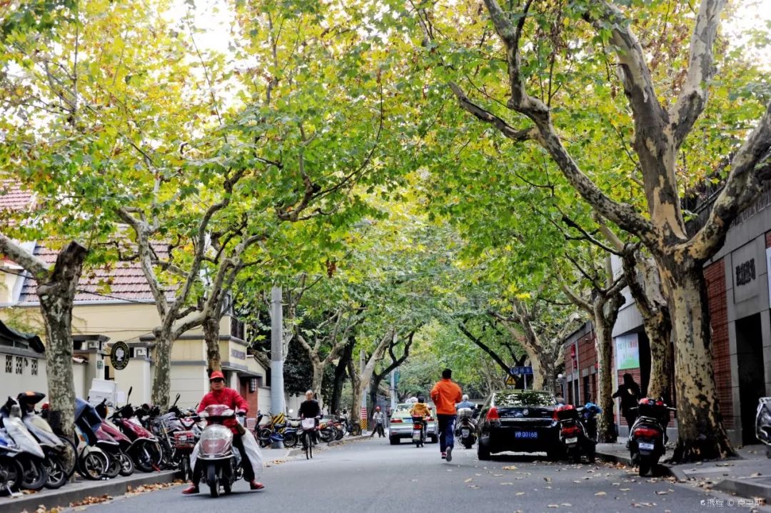 上海十大网红马路,魔都网红一条街