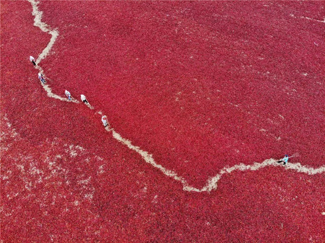 祖国腹地的一柄玉如意　甘肃如此多娇