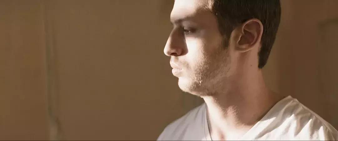 你可以不喜欢它但不能伤害它,你不喜欢它但它能决定你的未来