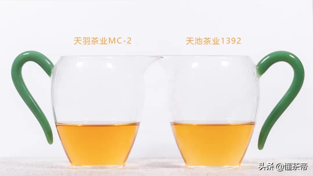 高端单丛蜜兰香,凤凰单丛蜜兰香的优劣区别