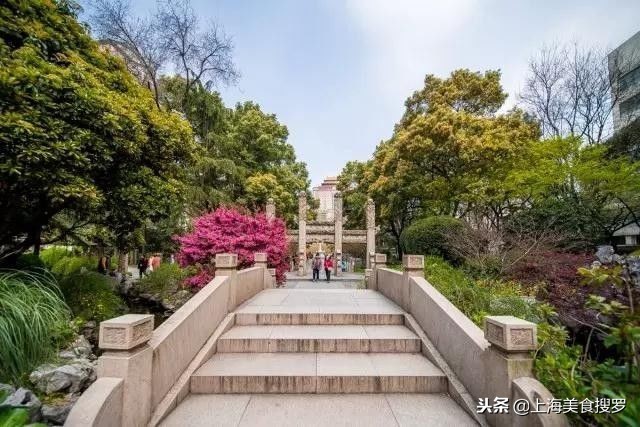 上海晚上十大必去免费景点,上海自驾游免费景点