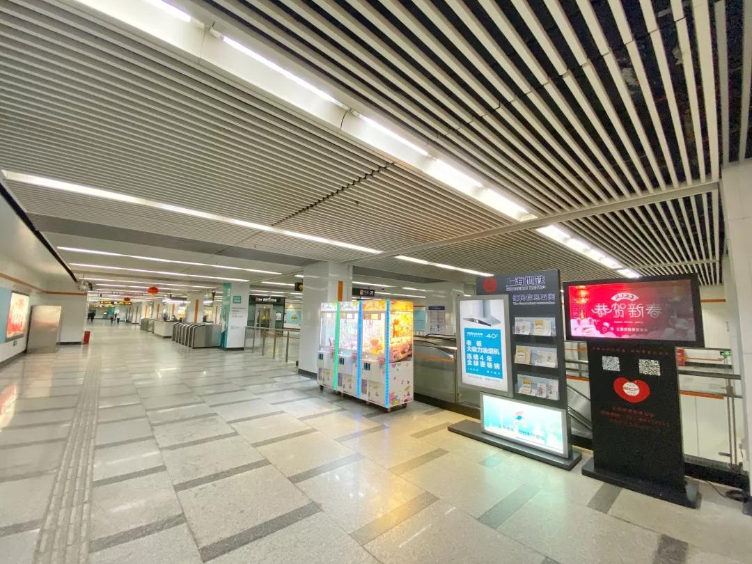 上海2月4日天气,上海2月10日天气