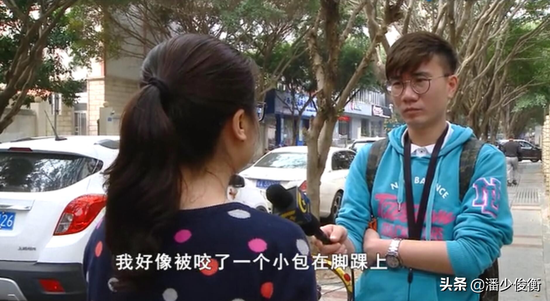 红火蚁被咬后会有什么情况,危险物种入侵红蚁