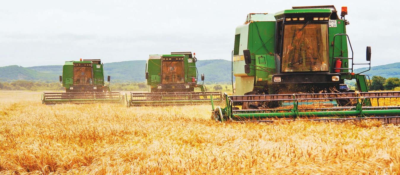 未来5年农业最赚钱行业,农业未来10年赚钱吗