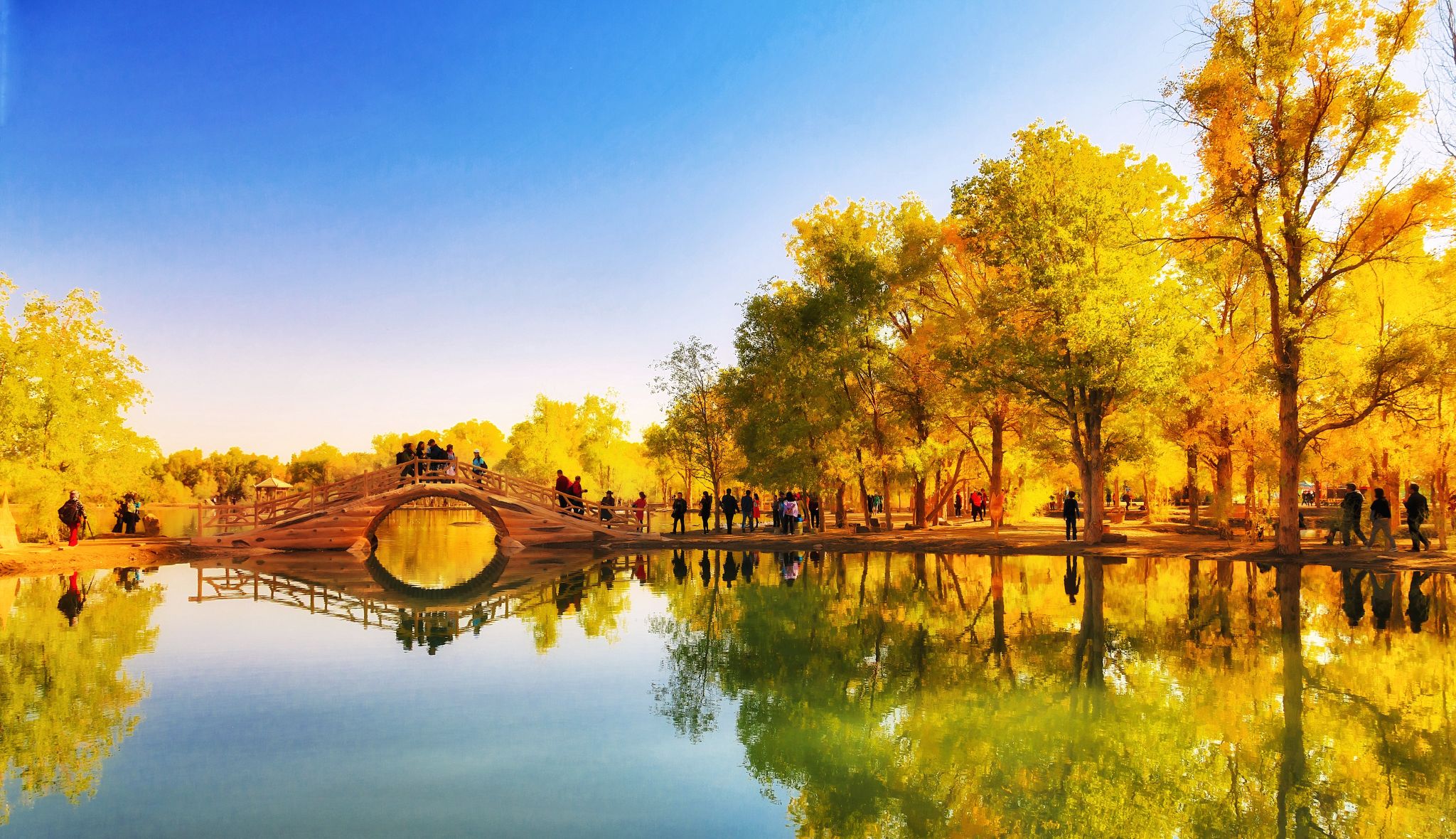 额济纳旗住宿一般多少钱,国庆额济纳旗胡杨林攻略