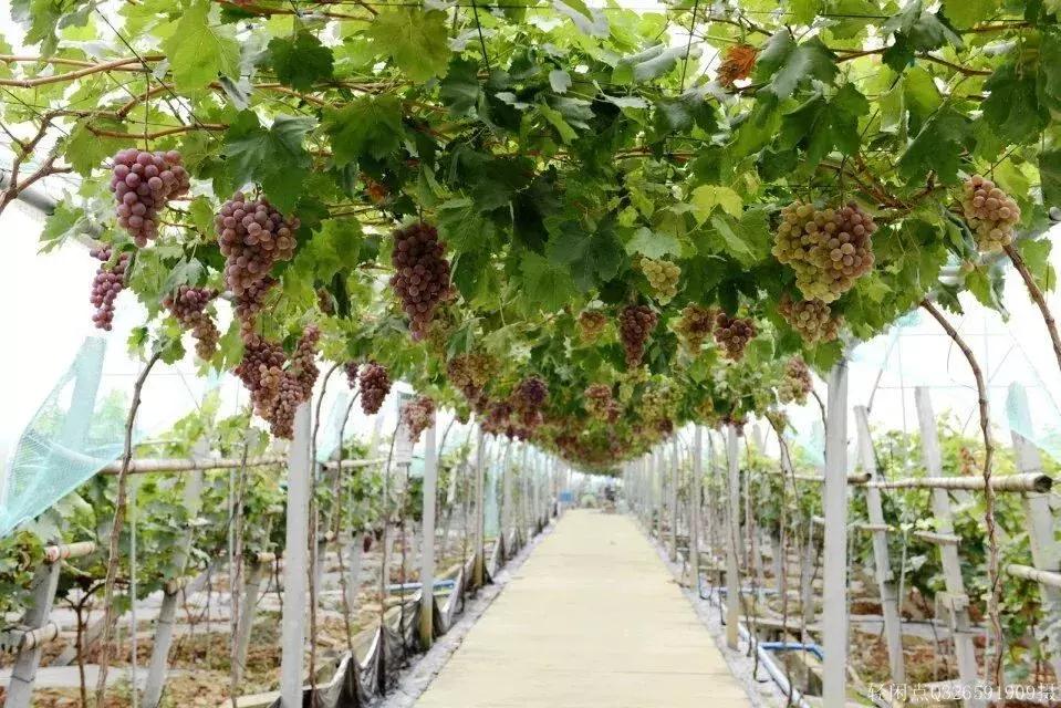 简阳五一有什么好玩的地方,国庆七天假去什么地方玩