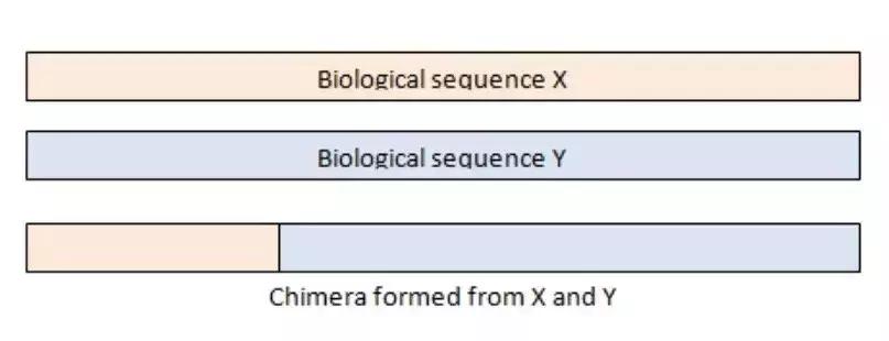肠道菌群16s检测挂什么科,肠道菌群测序数据分析