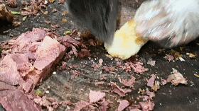 临淄口碑最好的馆子,临淄很多年的饭店