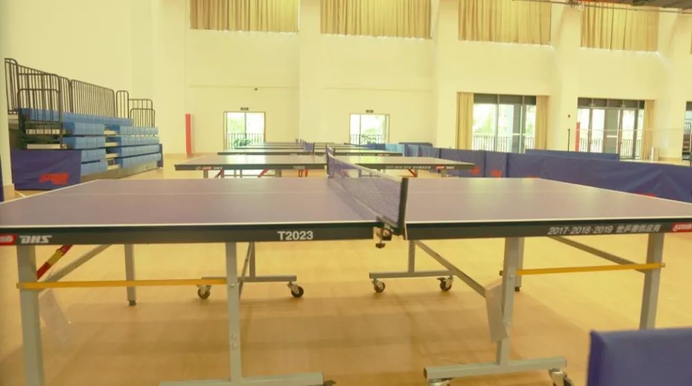 悦动体育夏令营户外拓展篇,2020游学冬令营