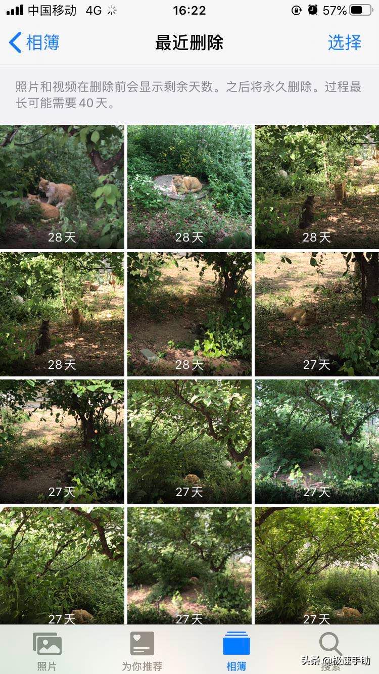 iphone手机彻底删除照片如何恢复,iphone手机已删除的照片怎么恢复