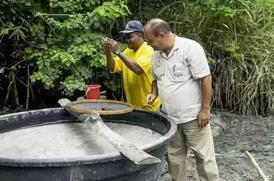 巴西奶奶绿这么贵是有道理的，开采太难了！都是高科技