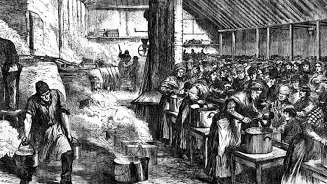 爱尔兰饥荒是由什么引起的,爱尔兰的饥荒是怎么回事