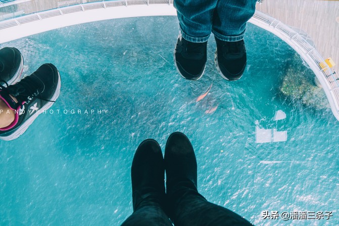 去韩国不购物回来的感受,去韩国一定要买什么