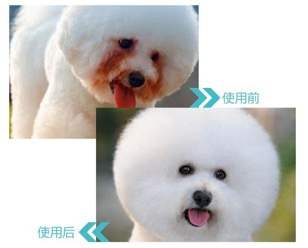 娄艺潇把李金铭宠成了妹妹,娄艺潇李金铭万籽麟