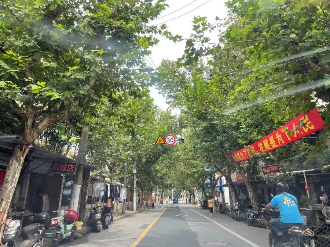 杨浦区跌得最多小区,杨浦为什么这么火