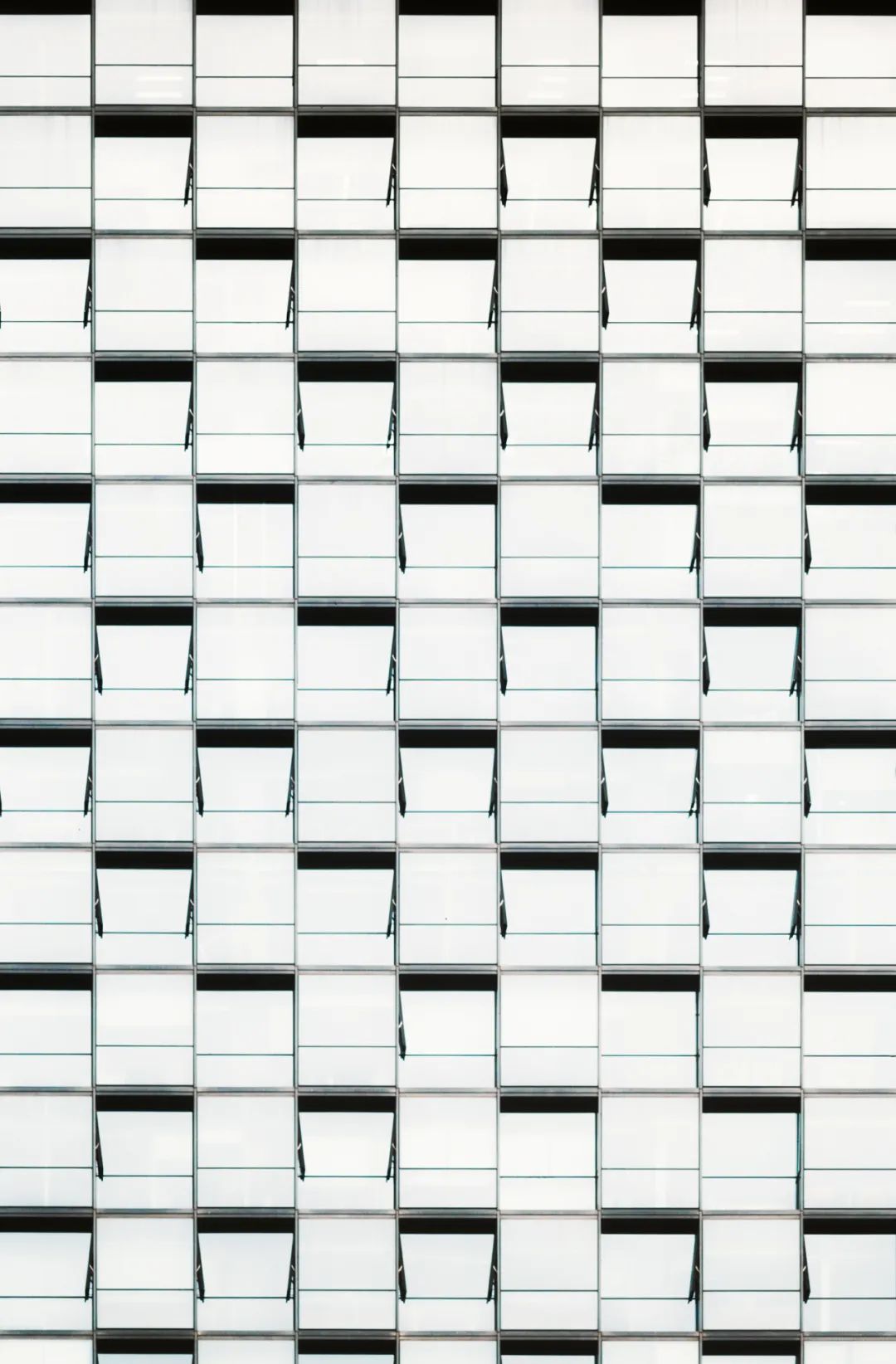 大片来袭震撼人心,成渝双城记全景图