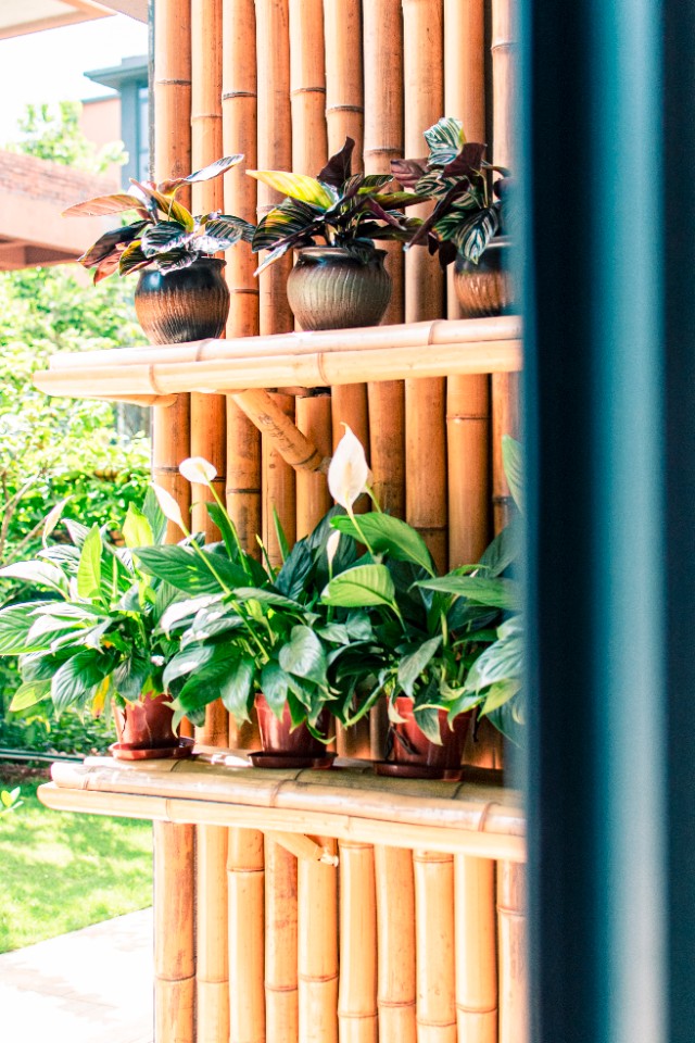 海口美兰区森木民宿,海口木朴民宿哪家好