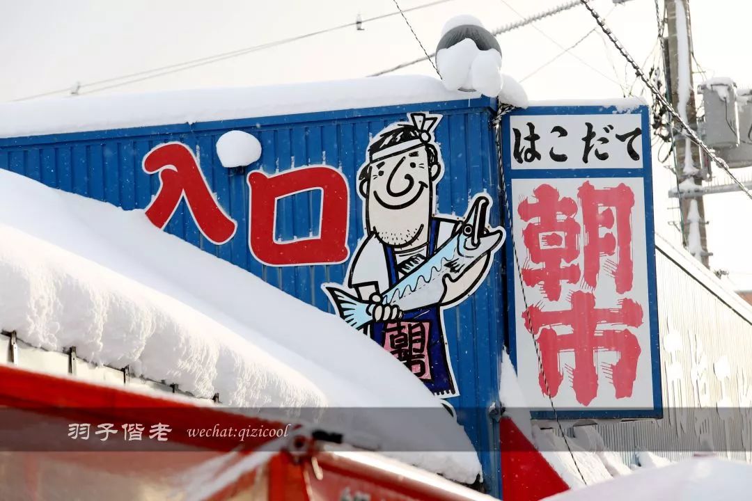 日本10天自由行费用北海道,东京北海道5日自由行攻略