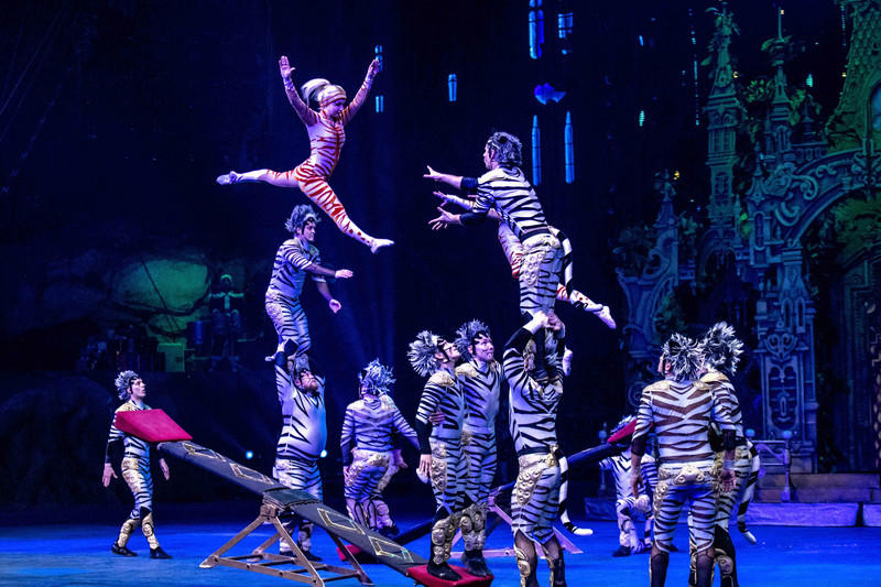 广州长隆野生动物世界的游玩攻略,广州长隆野生动物世界一日游回顾