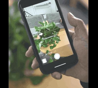 iPhone相机各个功能介绍,iphone有什么好玩的技巧