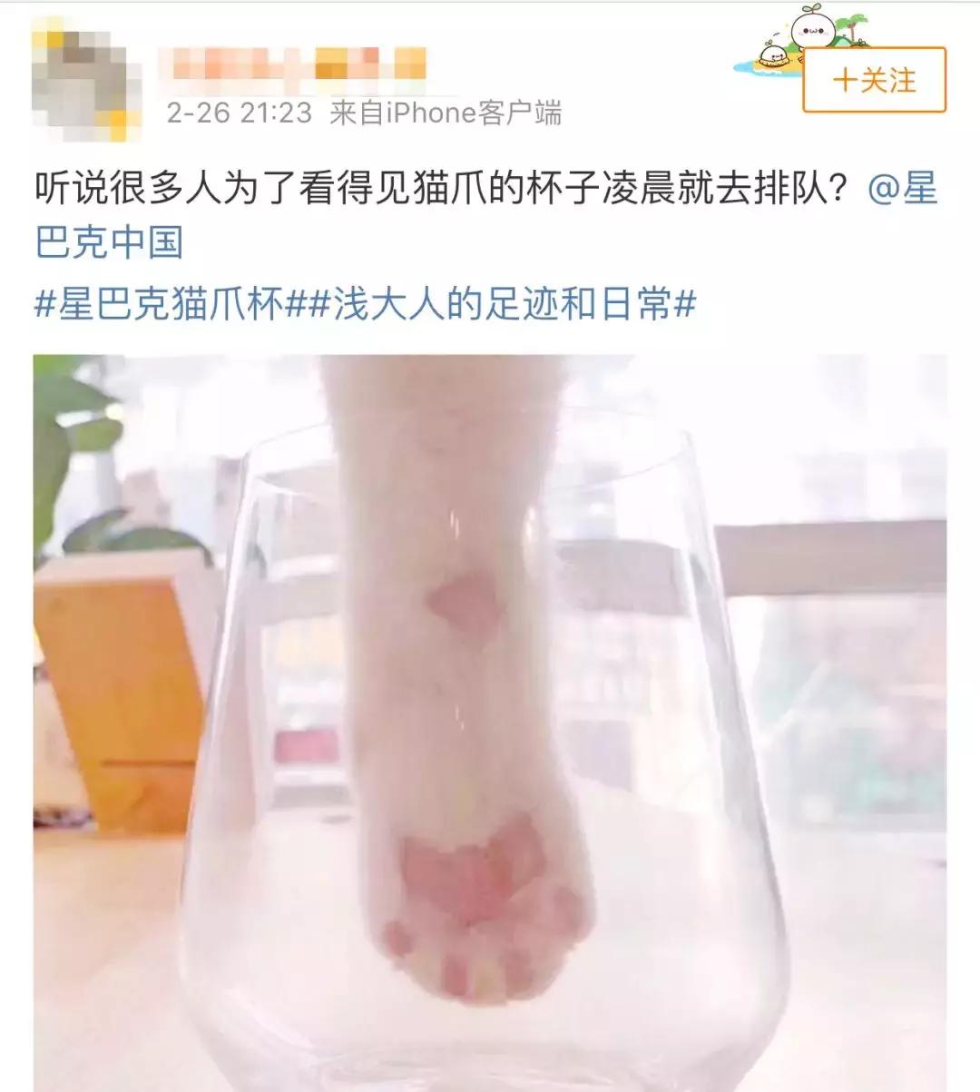 一只猫爪杯,让平静的江湖又掀起了一阵腥风血雨