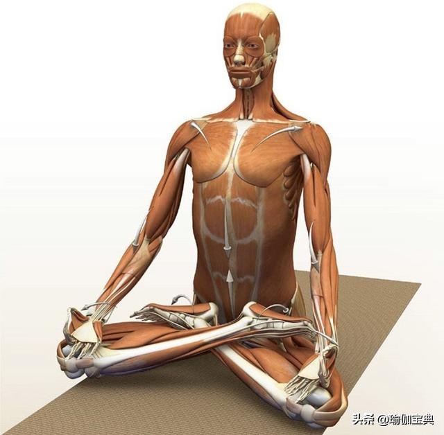 易怒紧张暴躁人群每天几分钟瑜伽心灵契合法打通释放压力通道