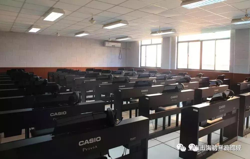 上海实验学校高考,2019上海市实验学校喜报