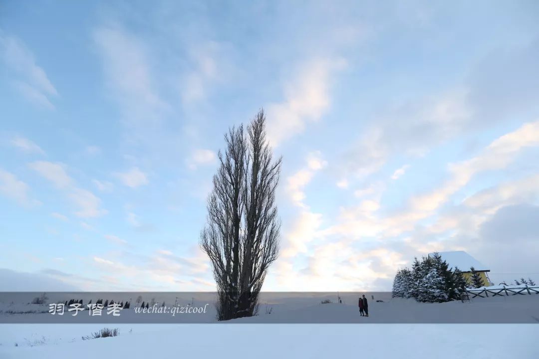 日本10天自由行费用北海道,东京北海道5日自由行攻略