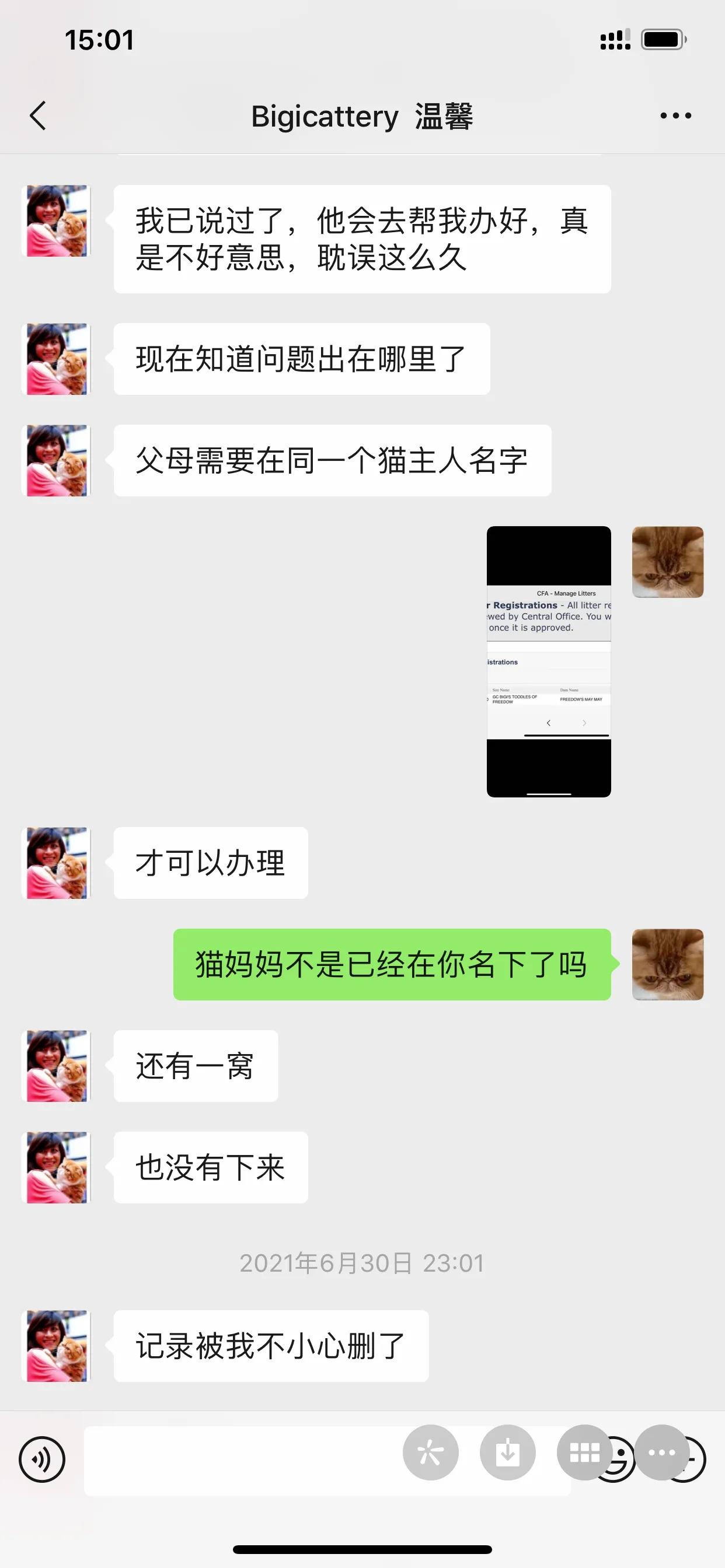 广州猫舍买英短猫,必读猫小屋家购猫流程